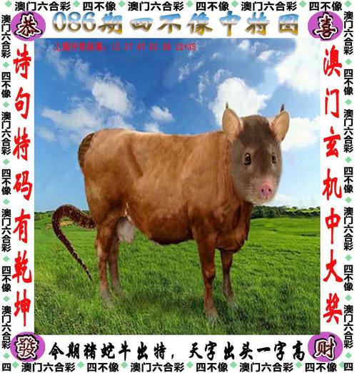 2025澳门今晚开奖结果和熊闯入家中上桌偷吃与熊闯入家中上桌偷吃食物