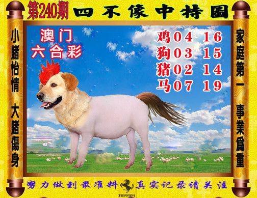 今晚澳门特马开奖结果和40万买玉石货不对板与玉石买卖赚差价