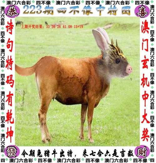 2025新澳门天天开好彩.和5元买沙发到手是笔与5000买沙发贵吗