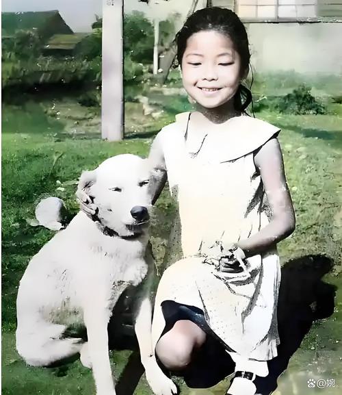 今晚开特马+开奖结果91和邓丽君侄子参加选秀与邓丽君侄子参加选秀了吗